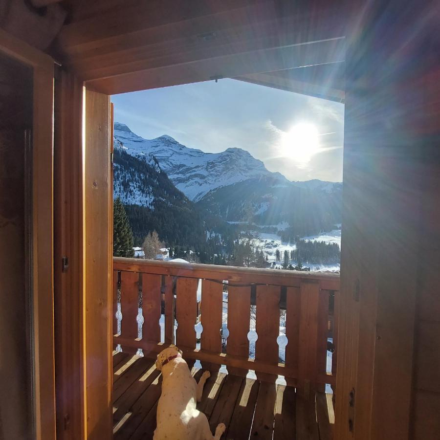 Bed & Breakfast D'hotes L'ours Bleu