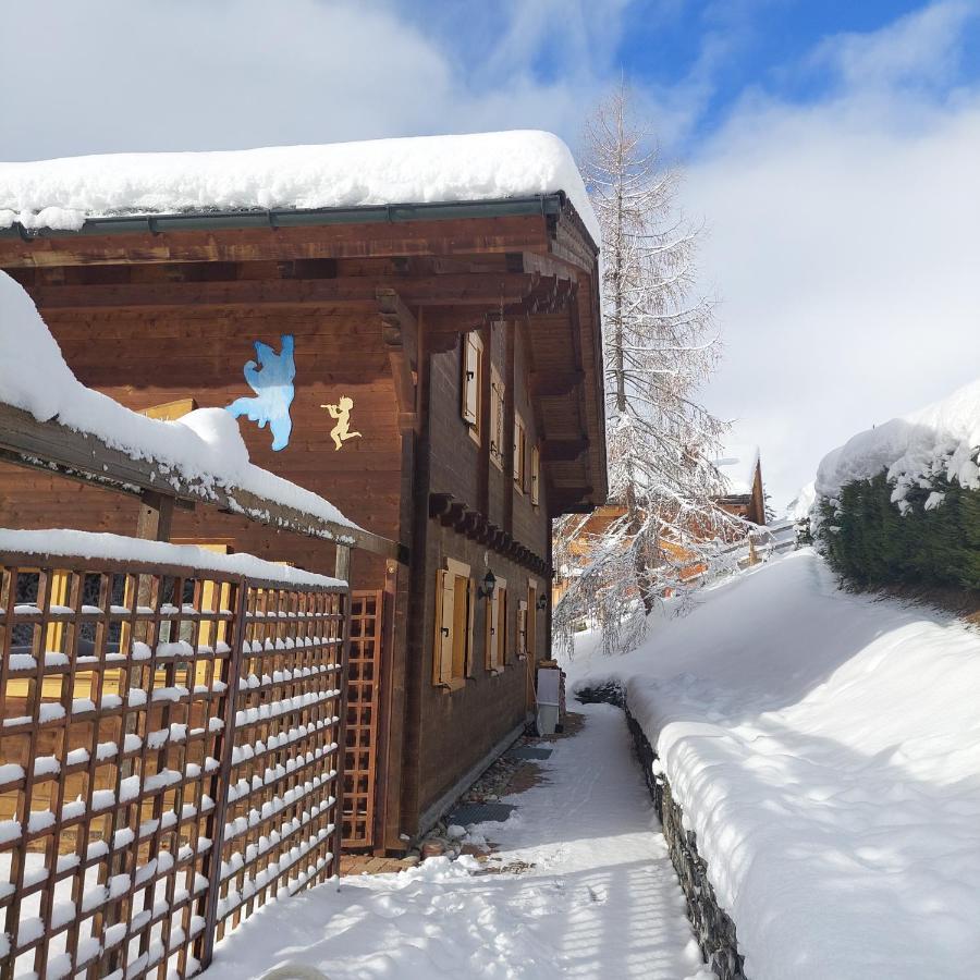 Bed & Breakfast D'hotes L'ours Bleu *